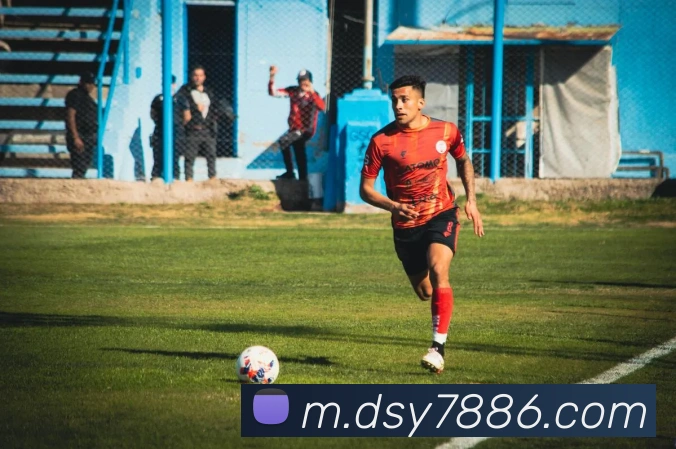 大三元官网平台登录平台生态图